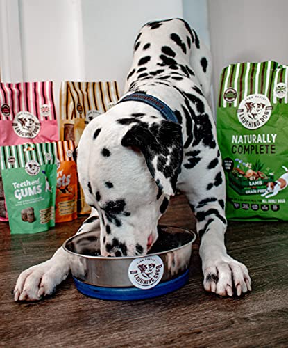 Laughing Dog - Teeth and Gum Dental Dog Treats, Mint and Parsley Flavoured Dental Bites for Healthy Teeth, Naturally Grain Free, Made with Natural Ingredients, No Added Artificial Colours, 125g, - Image 2