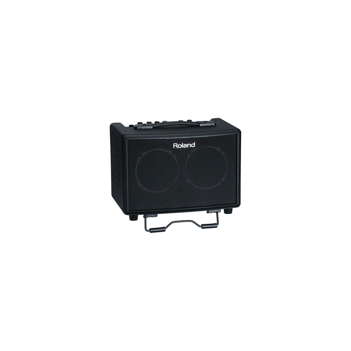 Amazon.com: Roland AC-33 Acoustic Chorus Battery-powered 30-Watt 