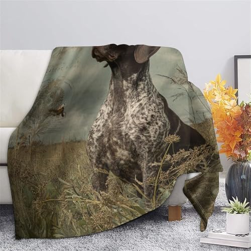 Couverture Shorthaired Pointer plaid microfibre anti-transpiration 150x200