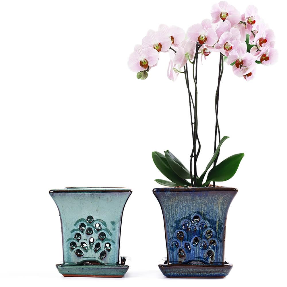 Ceramic Orchid Pots with Holes attached Saucers 4.8 Inches - Set of 2 Small Square Orchid Pots for Repotting, Decorative Ceramic Orchid Planter with