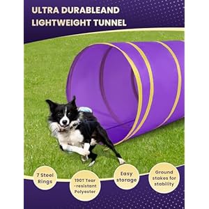 Dog Agility Course Backyard Set, Dog Agility Training Equipment, Dog Obstacle Course Backyard Starter Kit with Play Tunnel, Agility Hurdle, Weave Poles, Jump Ring, Pause Box & Storage Bag Dog Agility Course Backyard Set Dog Agility Training Equipment Dog Obstacle Course Backyard Starter Kit with Play Tunnel Agility Hurdle Weave Poles Jump Ring Pause Box Storage Bag