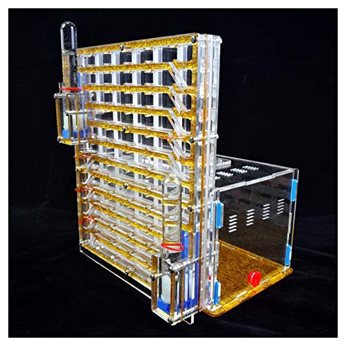 Formicarium grand format nid de fourmis acrylique avec réservoir eau intégré