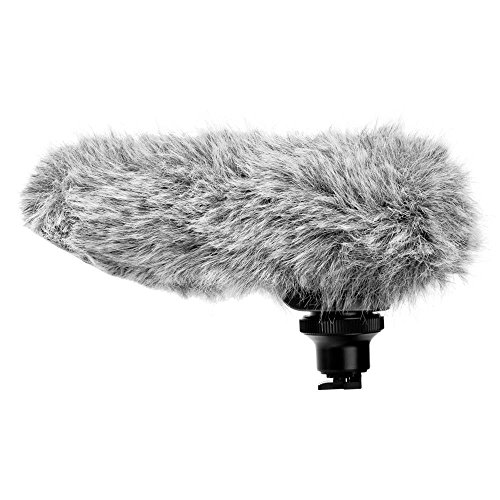 Canon 2591B002 DM-100 Directional Stereo Microphone for HF/HG Series Camcorders , black