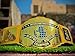 AA Tentaclus Nessa WWF Intercontinental Heavyweight Wrestling Championship Belt, WWF Intercontinental Replica Belt 2mm, Gold/Yellow