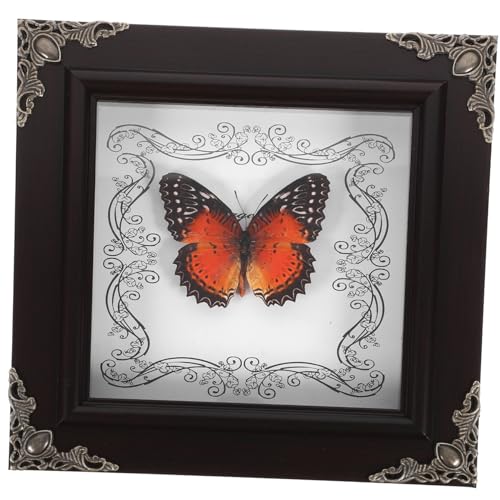 STOBAZA Retro Schmetterlingsrahmen für Wand Einzigartige Sammlung Präparierter Schmetterlinge DIY Vintage Deko für Zuhause und Büro Kreative Ausstellungen