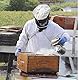 adesugata Bienenzucht Werkzeug, Edelstahl Bee Hive Smoker Bienenzucht Raucher