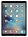 iPad Pro 9.7-inch (128GB, Wi-Fi + Cellular, Space Gray) 2016 Model