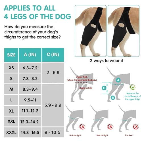 Image of Dog Knee Brace for ACL & Ligament Injuries | Adjustable Back Leg Support & Compression Wrap | Helps with Patella Dislocation, Osteoarthritis & Sprains | Multifunctional Protection (Large)
