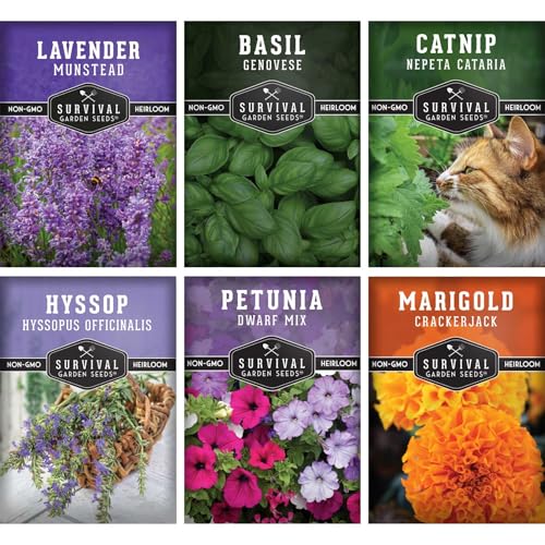 Pest Defense 6 Pack Seeds for Planting - Heirloom Lavender, Hyssop, Catnip, Marigold,...