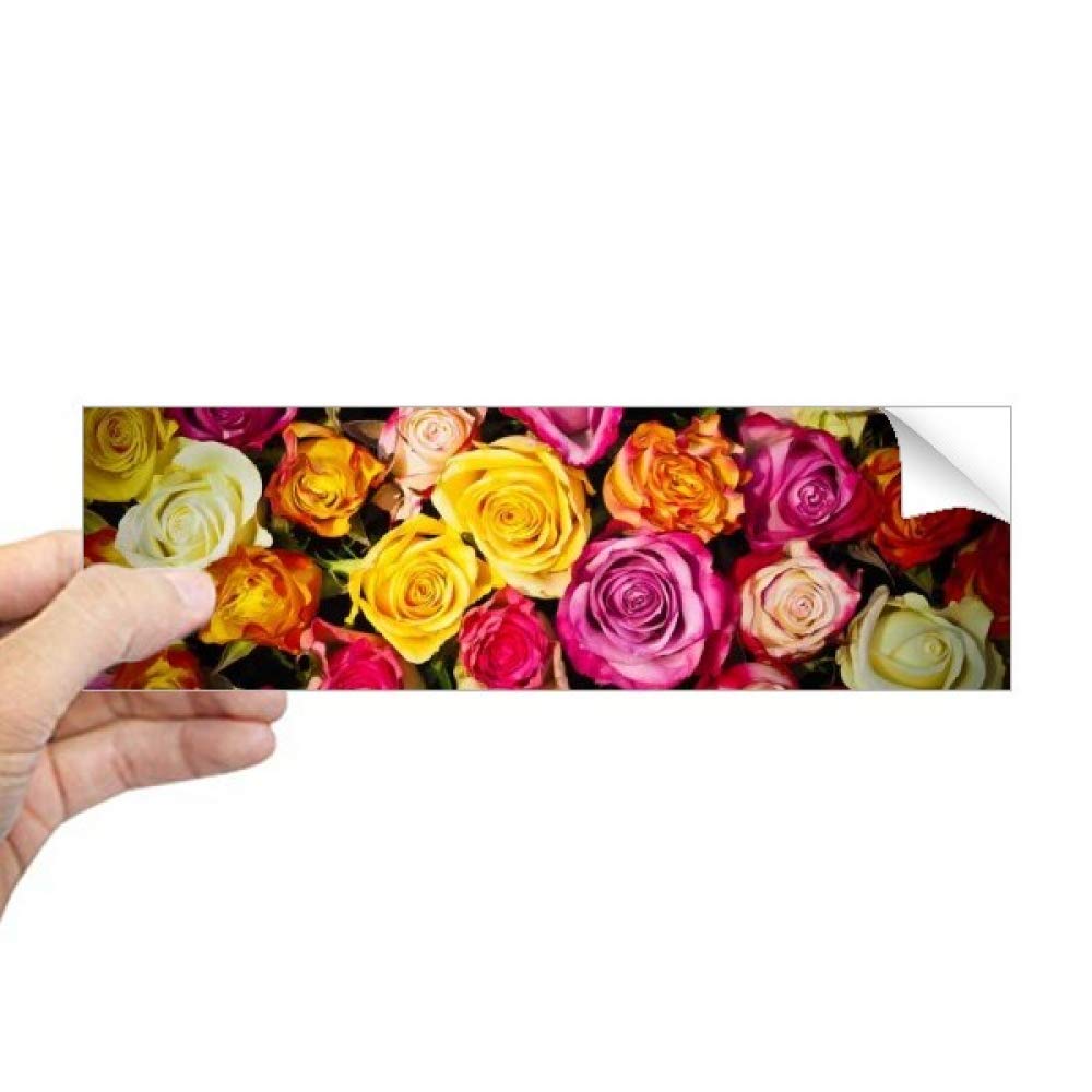 Adhesivo de rosas rojas con acabado artístico rectangular para ventana y ordenador