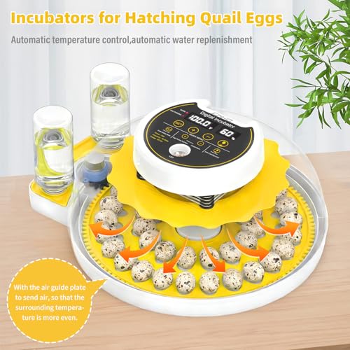 Image of Quail Egg Incubator for Hatching Eggs with Automatic Egg Turning and Humidity Control, 40 Quail Eggs Capacity Brooder Poultry Incubators, Also for Partridge, Parrot, Pigeon, and Other Types of Bird