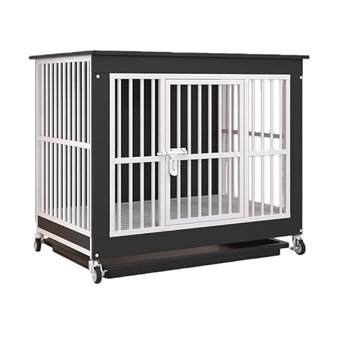 ALX^[tƋA ybgP[WA^E^p ؐApT[NAŃX^CbVAgCtX^CbVAT[N /O  g[t ȒP ؐ+X`[  Eh~ |Ǝ[ȒP (10