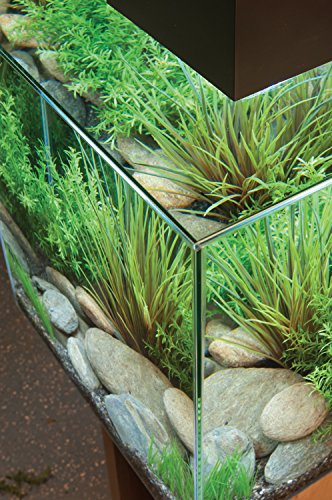 Fluval Edge Aquarium Kit, 6 Gallon, Black #TOP3