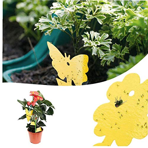 Yellow Sticky Fly Vallen Fly Stickers Opknoping Catcher dubbelzijdige Pluggable platen Protection for Plant Fruit - Image 3