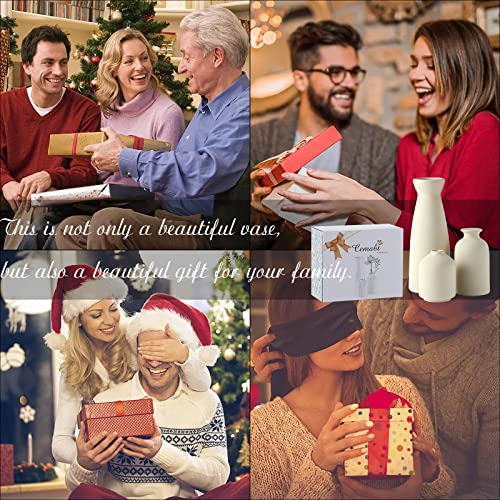 Cemabt Beige Ceramic Vase Set-3 Small Flower Vases For Decor,Modern Boho Farmhouse Home Decor,Decorative Vase For Pampas Grass&Dried Flowers,Idea Shelf,Table,Bookshelf ，Entryway- Distressed #TOP6