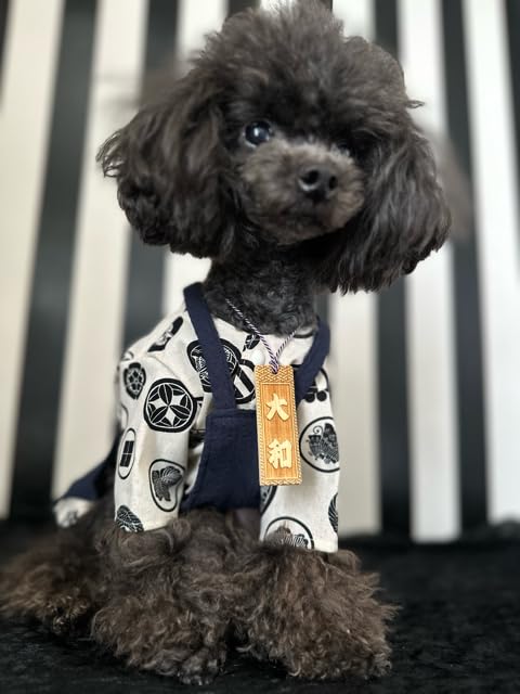 Amazon.co.jp: 犬用 ワンちゃん用 猫 犬 木札 喧嘩札 ネックレス 首