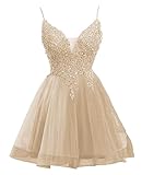 Tulle Homecoming Dresses Sparkly Lace Applique Spaghetti Straps Short Prom Dress for Teens Quinceanera DAMA Dress Champange