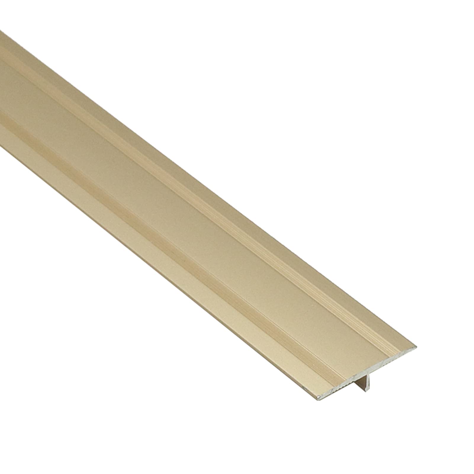 Buy T Molding Transition Strip, Carpet To Tile Floors Edge Trim/Heavy