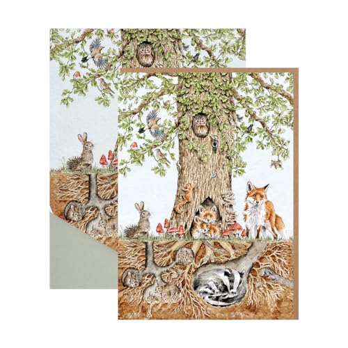 Wrendale Designs Wild Woodland’ Nature Notizkarten-Set