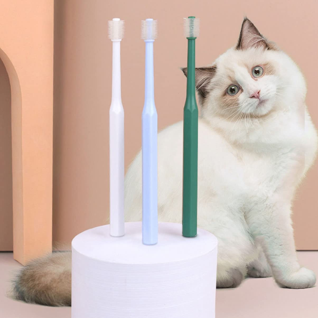 Sosoport 12pièces Brosse à Dents Manuelle Pour Animaux De Compagnie Avec Manche Brosse à Dents Pratique Pour Chats Et Chiens Nettoyage Buccal