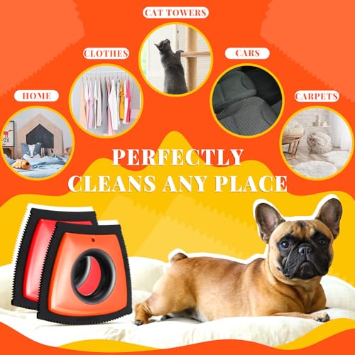 Image of Domensi 2 Pcs Mini Pet Hair Remover Tool Dog and Cat Hair Removal Tool Reusable Pet Cleaning Brush for Detailing Supplies for Car Carpet Furniture Clothes Couch