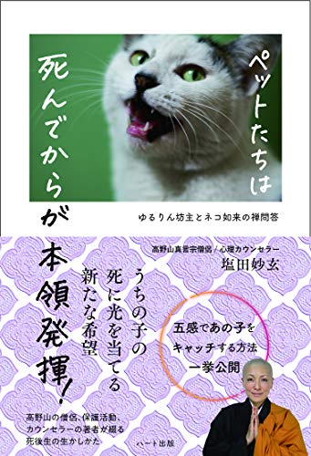 無料電子書籍 おすすめ ペットたちは 死んでからが本領発揮! ―ゆるりん坊主とネコ如来の禅問答 バイ