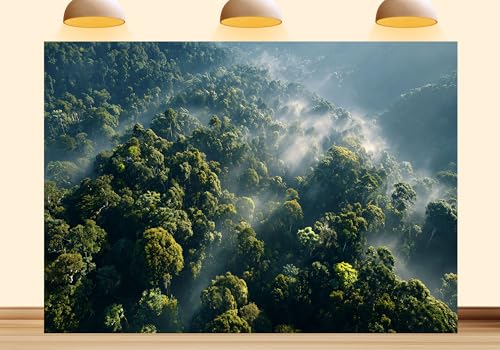 17X10ft Fabric Forest Tapestry Wall Hanging Jungle Forest Backdrop Background Misty Nature Scenery for Virtual Trade Show Product Demonstration Home Wall Decor Photo Studio Props