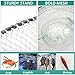 4 Pack Fishing Bait Trap Crab Trap Minnow Trap Crawfish Trap Lobster Trap Crayfish Shrimp Trap Net Portable Collapsible Fishing Traps with 49 Ft Rope Folded Fishing Accessories, 12 x 24 Inch (White)