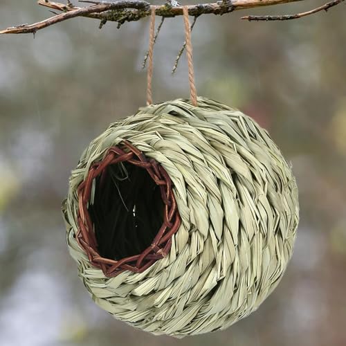 Colibri cabane oiseau extérieure naturelle pour protéger la faune du balcon - 7