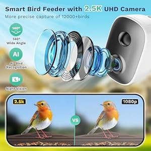 Smart bird feeder with camera solar powered 25k hd free ai identifies 12000 birds auto motion detection waterproof wooden video bird feeder camera live gift of bird lover wifi  urban country home decor