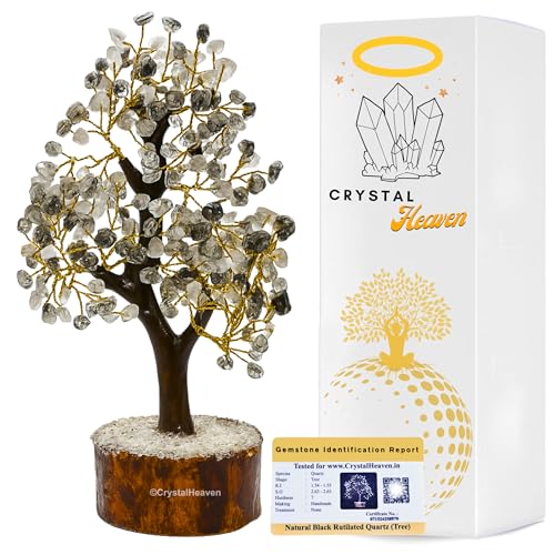 Image of Certified Black Rutilated Quartz Crystal Tree for Good Luck - Healing Crystals Money Tree for Wealth, Positive Energy at Home Office - Decorative Spiritual Gifts for Vastu, House Warming