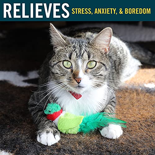 Brinquedo interativo para gatos Play-N-Squeak Pássaros Verdadeiros Buzz Off, modelo: 1010011959