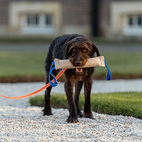 Sprenger Beisswurst für Hunde I sehr Robustes Hundespielzeug aus langlebiger Jute I Tauziehen und Zerrspiele für große Hunde, Bringsel mit 2 Handschlaufen Größe L (38 x 10 cm)