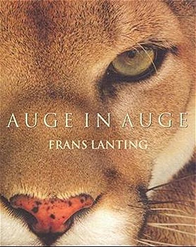 Preisvergleich Produktbild Auge in Auge