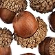 Baker Ross Eicheln (50 Stück), Natur, 150 g