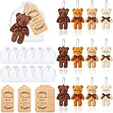 60 Pieces Mini Bear Stuffed Plush Bear Baby Shower Decorations, Tiny Bears Baby Shower Doll Favors Thank You Tag White Organza Bag for Guest Baby Shower Souvenirs Birthday Party (Cool Color)