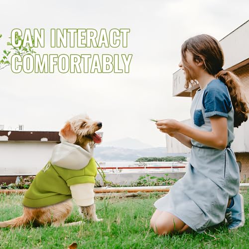 Chihuahua Kleidung, FainFun Hundebekleidung, Hunde Weihnachtspullover, Hunter Hundepullover, Schützt das Gesicht Ihres Hundes oder Ihrer Katze, mit Schlepplöchern (Weiß Grün, M)