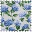 Blue Hydrangea