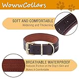 Reflektierendes Echtleder Hundehalsband verstellbar weich gepolstert für kleine, Mittelgroße und Extra Große Hundehalsbänder (Braun, M)