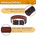 Reflektierendes Echtleder Hundehalsband verstellbar weich gepolstert für kleine, Mittelgroße und Extra Große Hundehalsbänder (Braun, M)