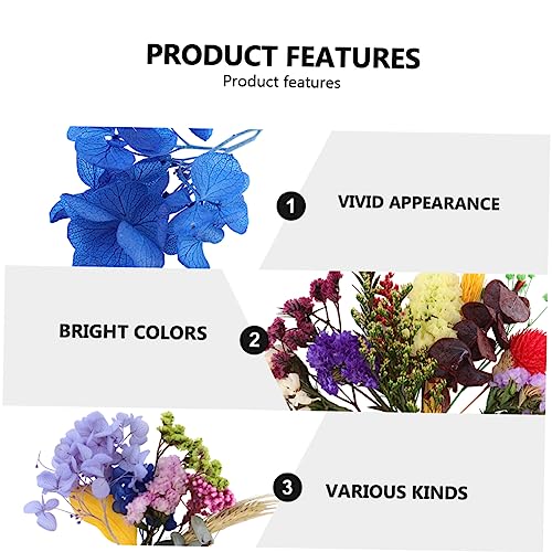 ULDIGI 1 Caixa Flores Secas Misturadas Espalhadas Em Caixa Flores Secas Naturais Vaso De Flores Seca