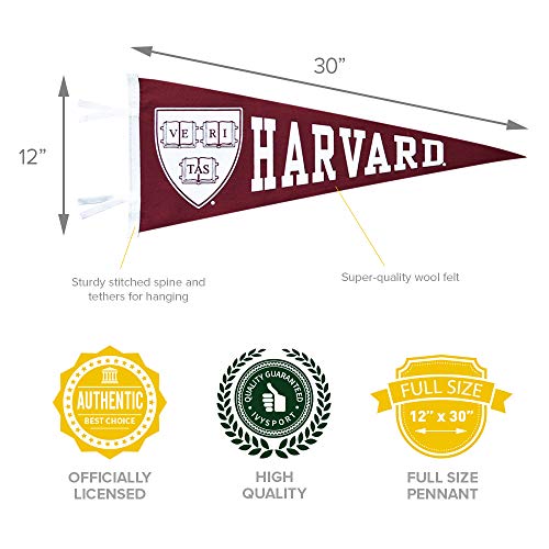 Image of College Pennants, Full-Size, 12 inch x 30 inch Banner
