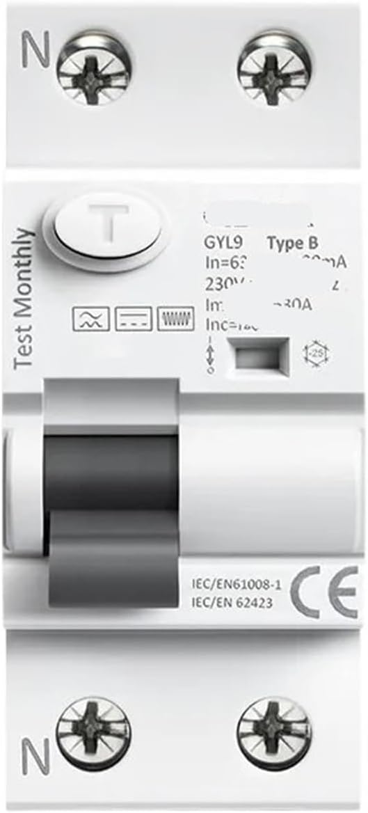 GYL9 B Type Rail Earth Leakage Circuit Breaker DC 2P 4P 63A 30mA 100mA 300mA 6KA IEC62423(2P-40A-300mA)