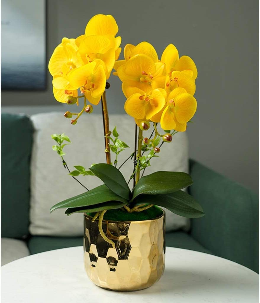 Orchidées Fleurs Artificielles Orchidées Fleurs Artificielles Phalaenopsis avec Pot Garder Les Pétales Pleins et Doux Les Fleurs Artificielles Restent Fraîches Belle Apparence Naturelle