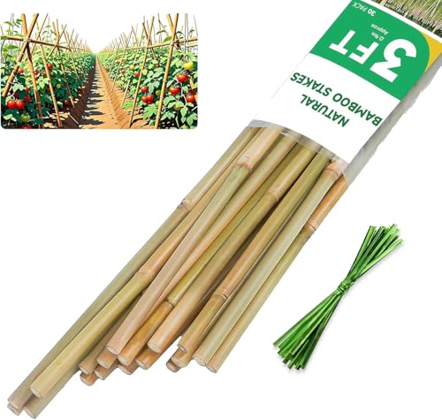 3ft Bamboo Plant Stakes for Tomatoes and Flowers