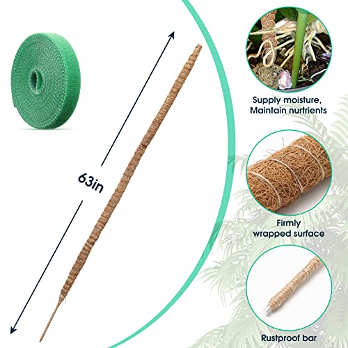 Bendable Moss Pole, 63” Moss Pole For Plants Monstera, Bendable Diy Plant Sticks Support Plant Stakes For Indoor Plants, Monstera Moss Pole For Climbing Plants Growth #TOP1