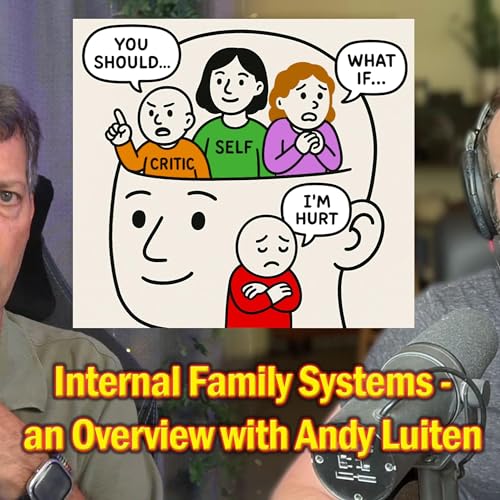 Internal Family Systems - an Overview with Andy Luiten