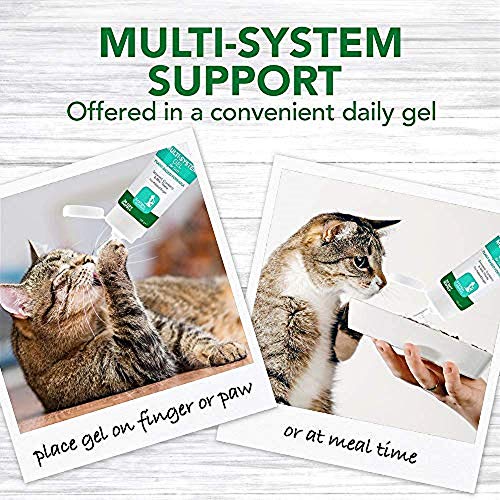Vet's Best Multi-system support Cat Supplement Gel Promotes Healthy Immune System, 100g - Image 6