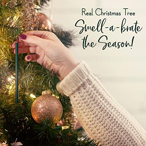 Premier Scentsicles Pack of 6 'O Christmas Tree' Scent Sticks - AC1872