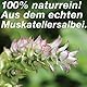NeoOrganic® Bio Muskatellersalbeiöl (Salvia Sclarea), 100% naturreines ätherisches BIO-Öl – 10ml